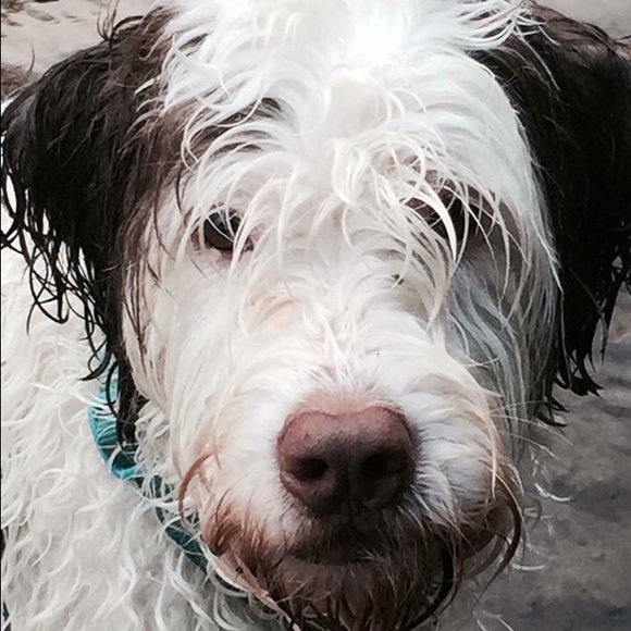 Welcome to My Closet - Picture 6 of 6